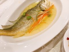 小黄鱼-苏湘会(新港店)