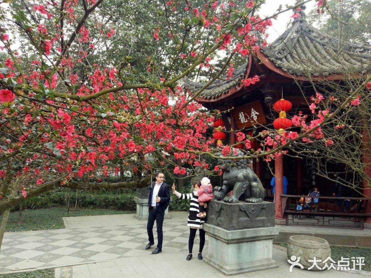 住在双流这个宜居的地方真的贼舒服！下面带你们找一哈