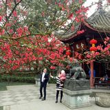 住在双流这个宜居的地方真的贼舒服！下面带你们找一哈