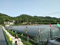 -普迪生态园