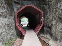 -武夷山风景名胜区-玉女峰