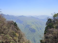 -汉中天台国家森林公园