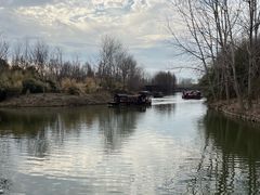 -溱湖国家湿地公园