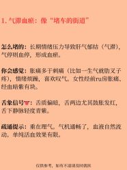 点击看大图 -玛莲朵·海菲秀冰珀科