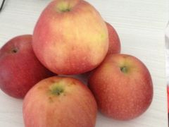 -真牛坊潮汕牛肉火锅