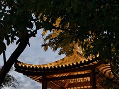 -四海公园(南山区)