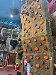 -卡通尼·Safari非洲探索乐园·生日会(金桥国际商业广场店)