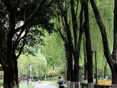 -温江公园