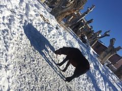 -丝绸之路山地度假区滑雪场