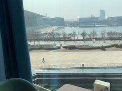-羲和雅苑•北京烤鸭(乐园道万象城店)