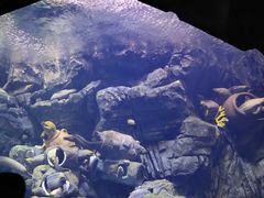 -珠海长隆海洋王国