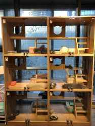 -趣陶陶艺手工坊(新世界百货重庆店)