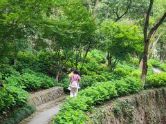 -莫干山风景区