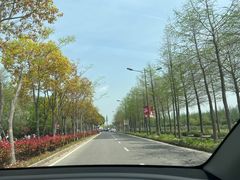 -上海长兴岛郊野公园