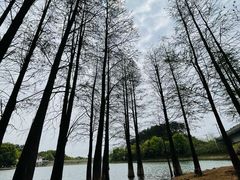 -青龙山国家森林公园