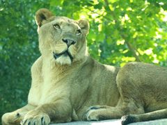 -北京野生动物园