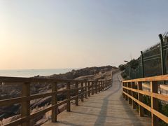 -青岛第三海水浴场