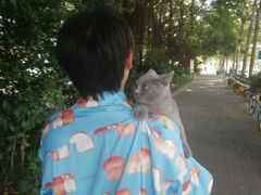 -创凡宠物医院·骨专科  猫科中心(西乡分院)