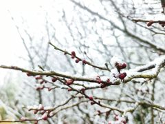 -南京市江宁方山