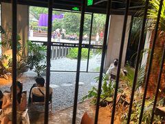 -J Create城市露营咖啡·简餐·宠物(上海动物园店)