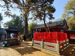 -泰山风景名胜区-普照寺