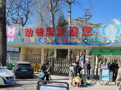 -保定市动物园