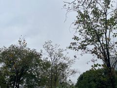 -广州国际生物岛