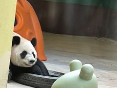 -杭州野生动物世界