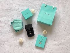 -Tiffany & Co.蒂芙尼
(南京德基广场店)
