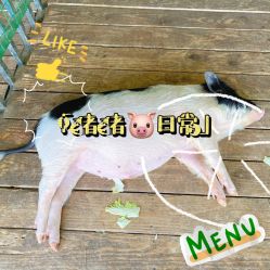 -小蜜蜂农场(凯德七宝购物广场店)