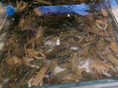 -川骄海鲜自助(亚运村店)
