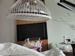 -安馨无忧月子中心(青秀店)