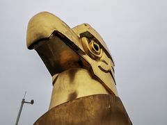 -大金鹰园