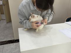 -瑞鹏宠物医院·骨外科·心肾科·肿瘤科(九亭店)