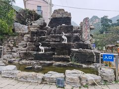 -大岭沟猕猴桃谷风景区