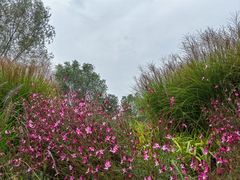 -汉长安城未央宫国家考古遗址公园