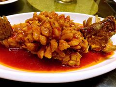 -协和菜馆(凤凰街店)