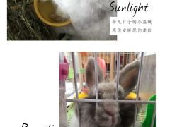 -雨林宠物医院 非犬猫异宠专科