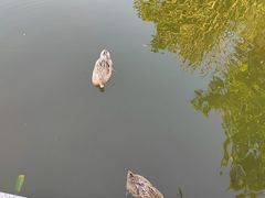 -广州神农草堂中医药博物馆