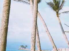 -海南分界洲岛旅游区