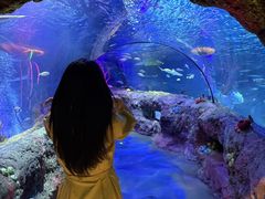 -沈阳海洋探索中心