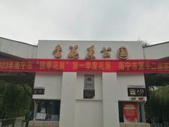 -金花茶公园