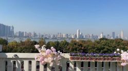 点击看大图 -禾丽康美医疗美容医院