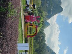 -靖西鹅泉风景区