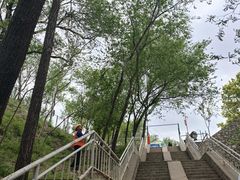 -白水寺森林公园