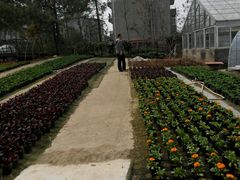 -江西科技学院