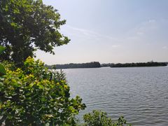 -东湖落雁景区