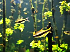 -成都浩海立方海洋公园