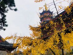 -鸡鸣赐茶(鸡鸣寺路店)