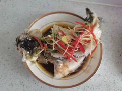 -爱月宝月嫂·育儿嫂